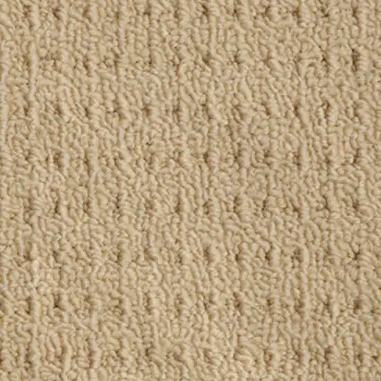 Beaulieu Daytona Solution Dyed Polypropylene Carpet